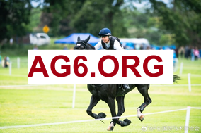 拉门斯谈埃弗顿角球挤人战术：今天有点太过了，我得退到门线后